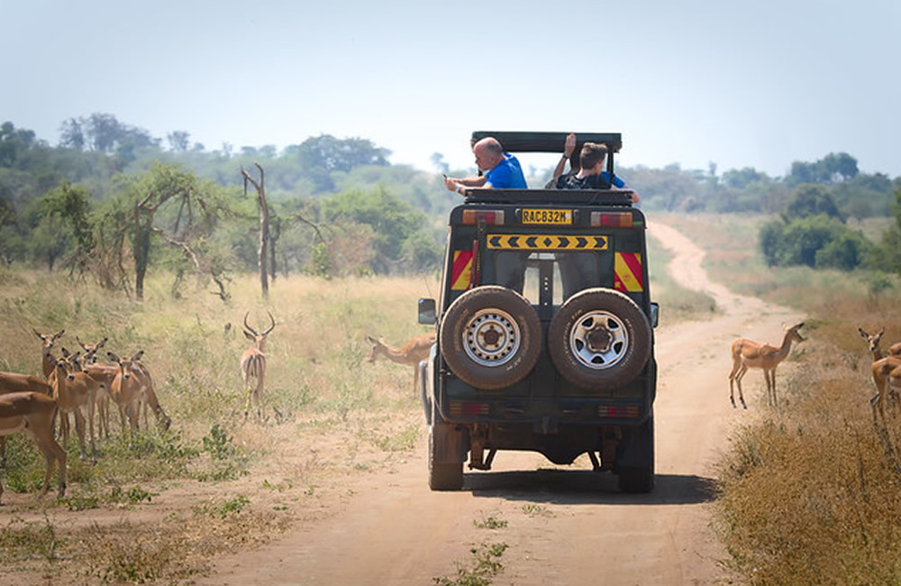 5 Best Rental Cars for Self Drive in Rwanda Rwanda Safari Adventure