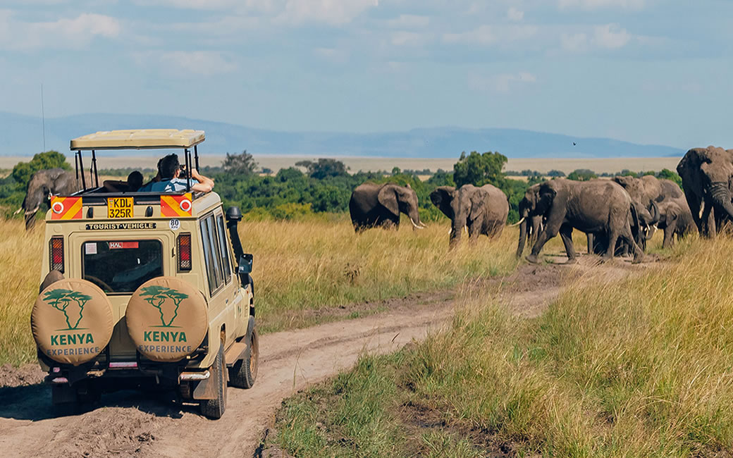 kenya-safari-experience Kenya Self Drive