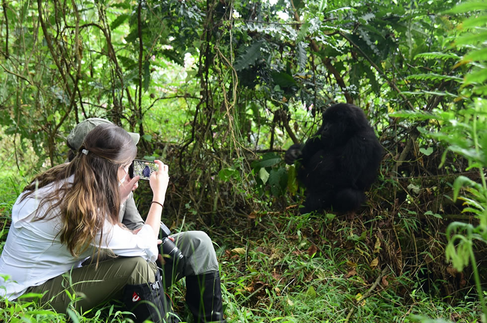 Definitive Guide to Gorilla Trekking in Africa